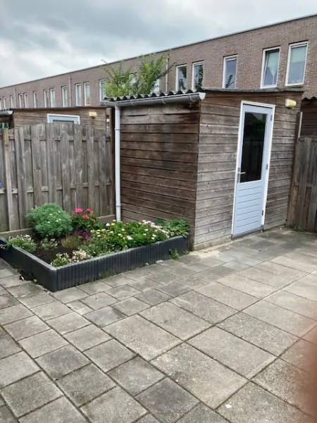 Adriaan van Ostadestraat 24 C