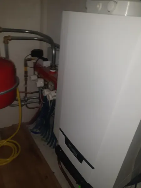 Adriaan van Ostadestraat 61