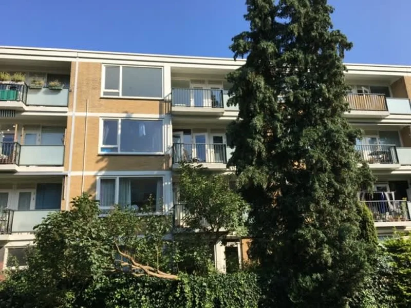 Nedersticht 80, 1083 XD Amsterdam, Nederland