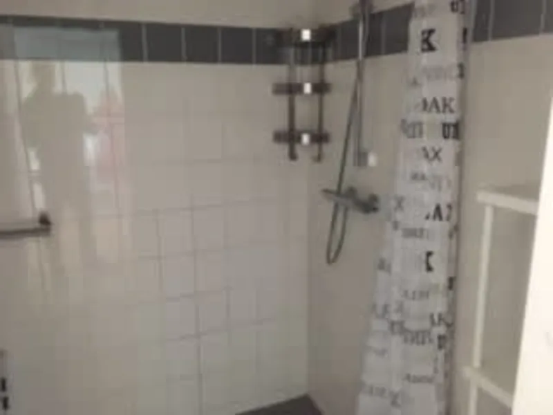 Vijfheerenlanden 381