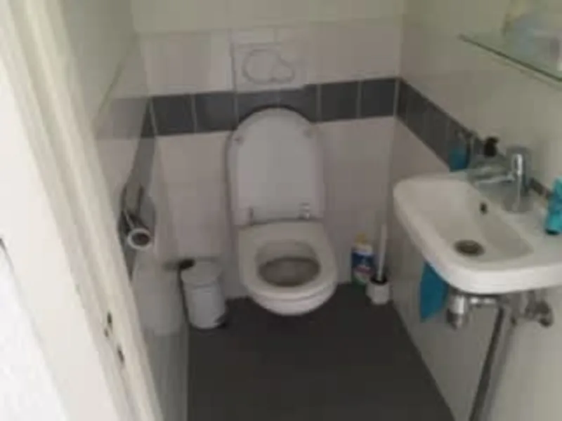 Vijfheerenlanden 381