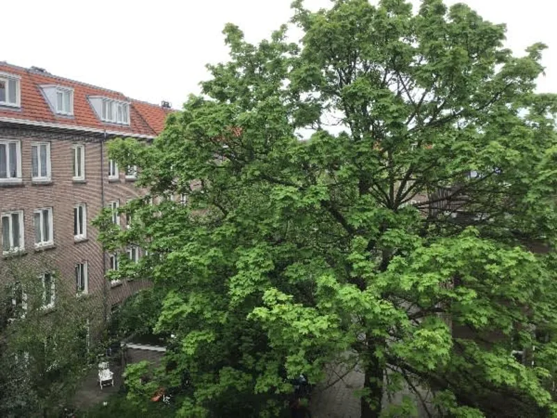 Van Beuningenplein 84