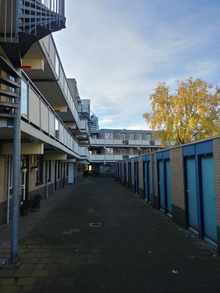 Zilverschoonstraat 8