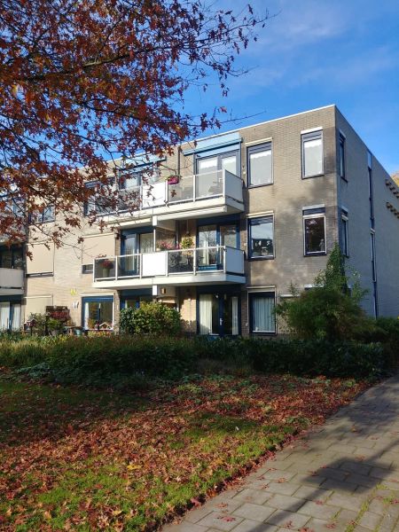 Zilverschoonstraat 8