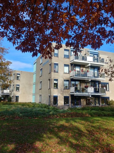 Zilverschoonstraat 8