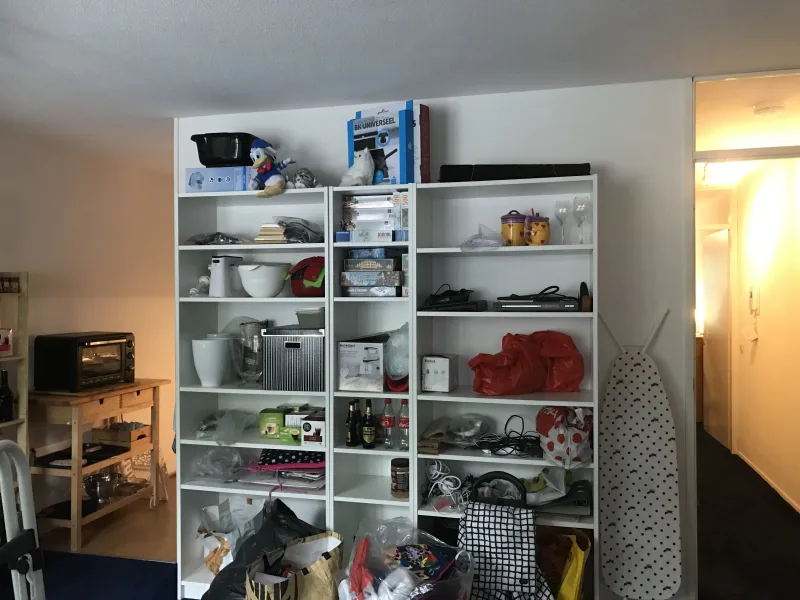 J C van Oostsanenhof 45