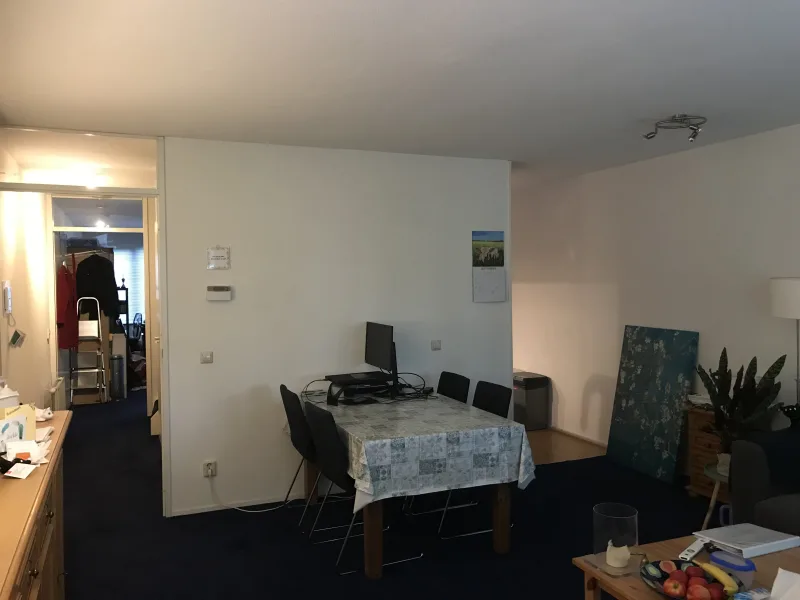 J C van Oostsanenhof 45