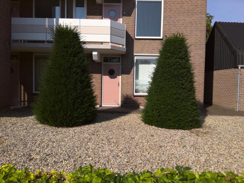 Betsy Perkstraat 55, 4003 ZK Tiel, Nederland