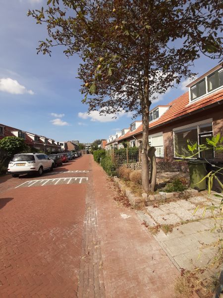 Hobbemastraat 19