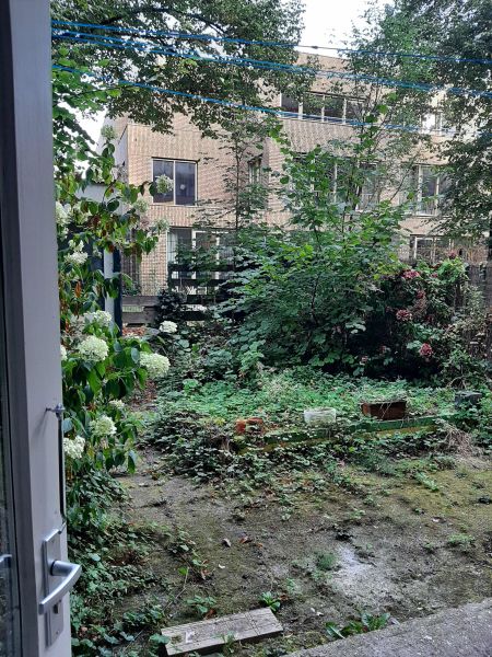 Spaarndammerplantsoen 120