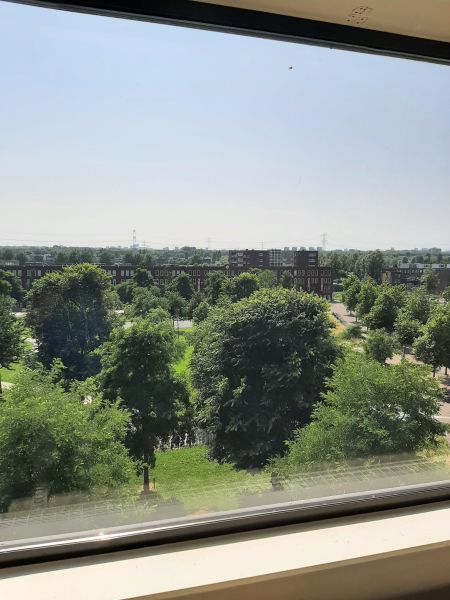 Eva Besnyöstraat 291