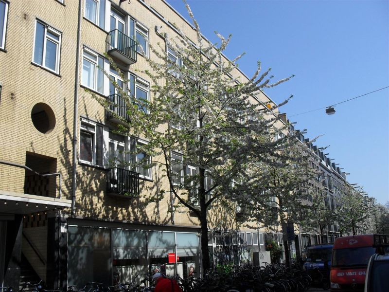 Eerste Jan van der Heijdenstraat 119-A, 1072 TP Amsterdam, Nederland