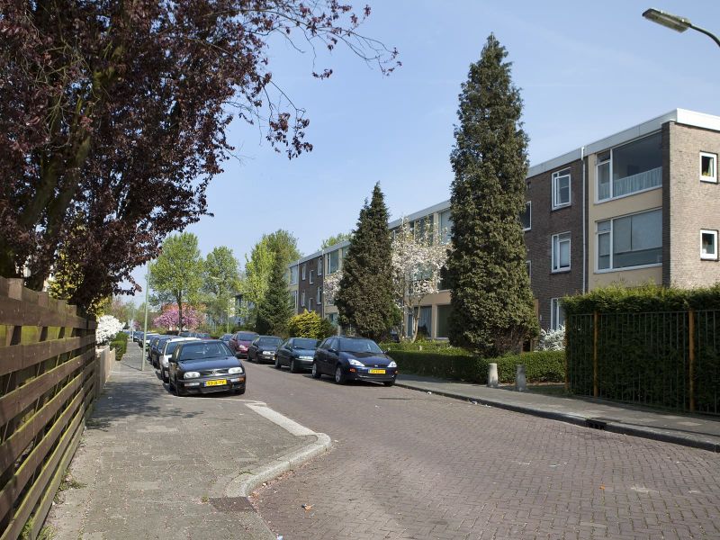 René van Chalônstraat 36, 3314 NT Dordrecht, Nederland