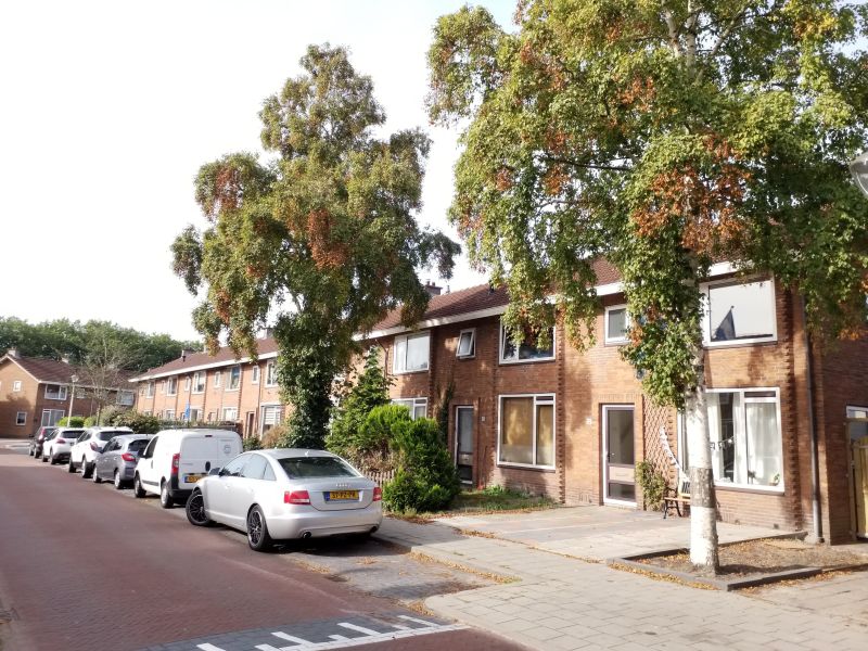 Pr. Marijkestraat 15, 1398 CL Muiden, Nederland