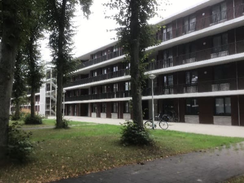 Dirk Sonoystraat 104