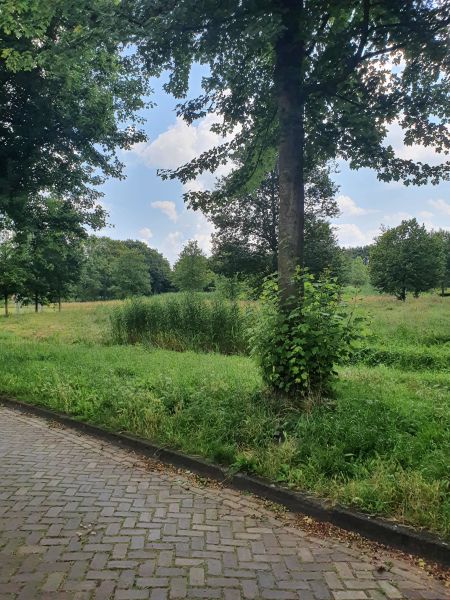 Cornelis Lelylaan 11