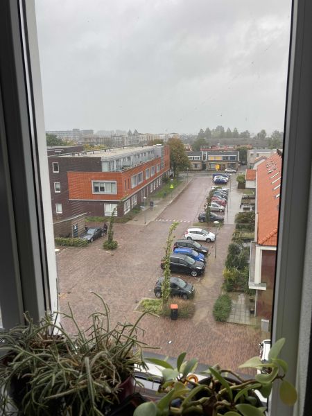 Rietvinkkade 62