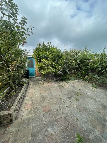 Graan voor Visch 16625