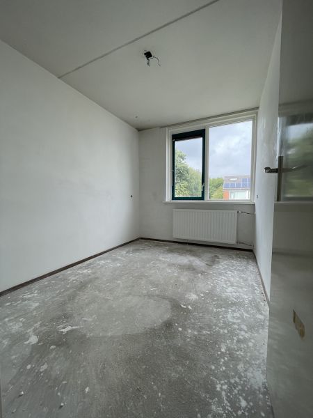 Graan voor Visch 16625