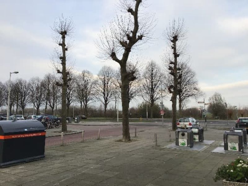 Reimerswaalstraat 5a