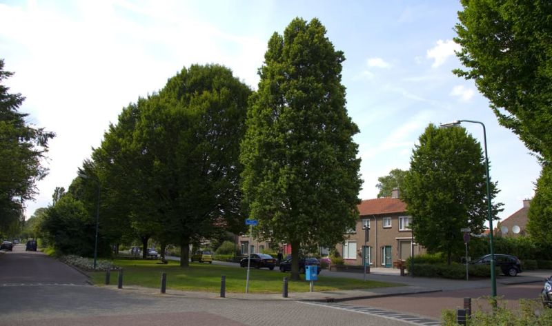 Doctor de Visserstraat 34