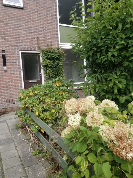 Amoebastraat 19, 1035 VK Amsterdam, Nederland