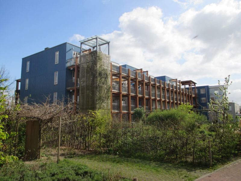 Henriëtte Roland Holststraat 22