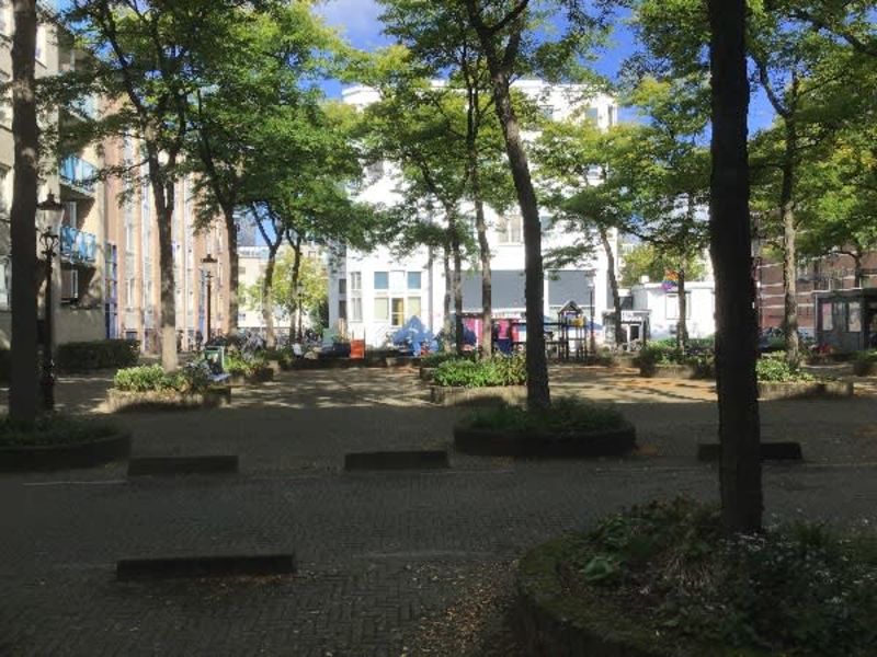 Mary Zeldenruststraat 80