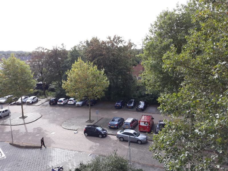 Nicolaas Beetsstraat 334