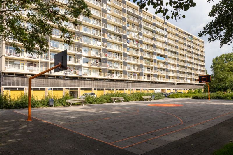 Den Bloeyenden Wijngaerdt 101