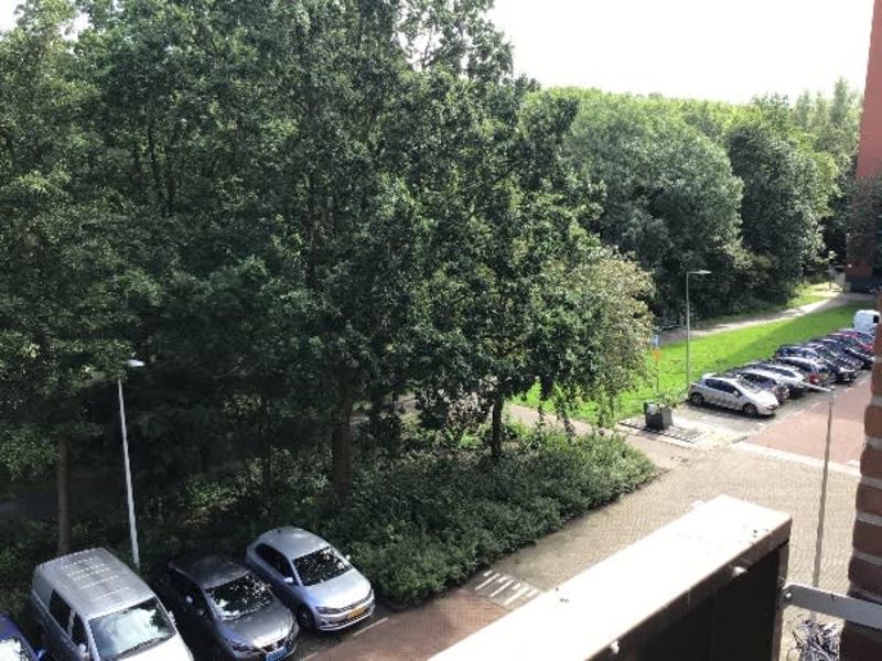 Waalenburgsingel 127