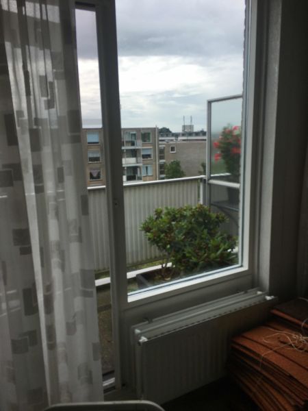 Jan Bijhouwerstraat 210