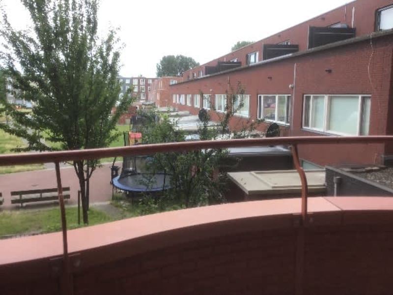 De Savornin Lohmanstraat 453