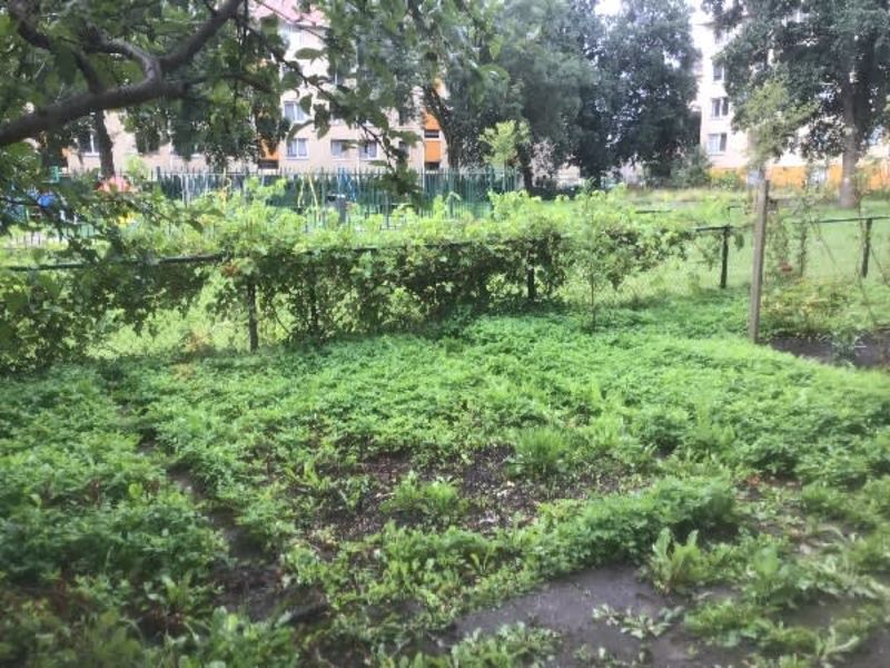 Cornelis Outshoornstraat 126