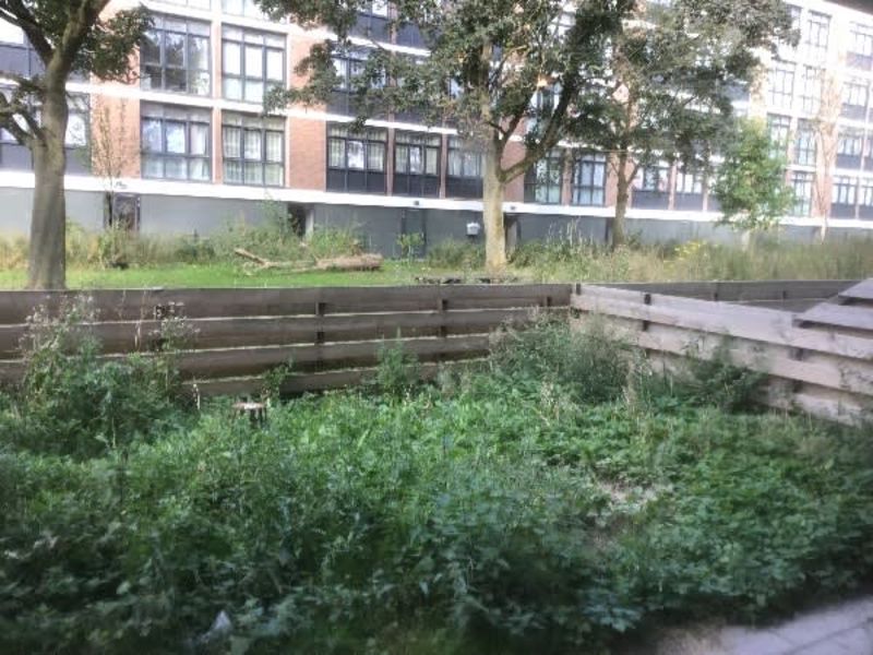 Jan Zijvertszstraat 16