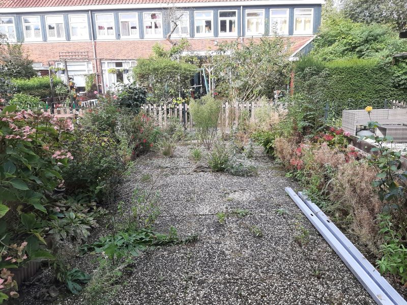 Graftdijkerstraat 31