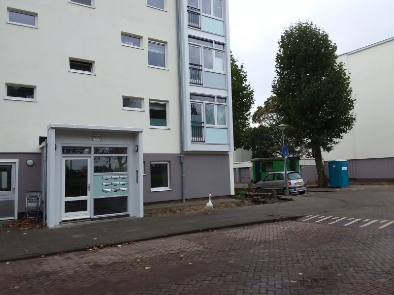 Ookmeerweg 257h, 1069 MT Amsterdam, Nederland