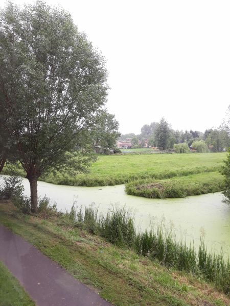 De Savornin Lohmanweg 28A