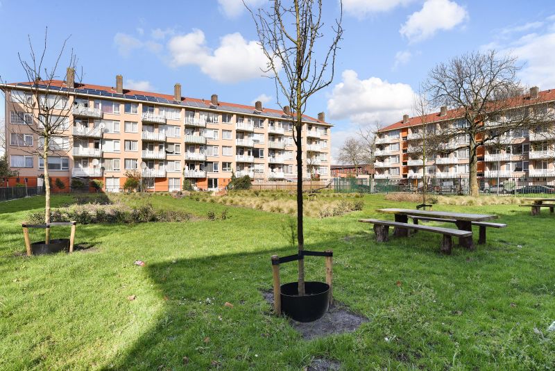 Cornelis Outshoornstraat 27