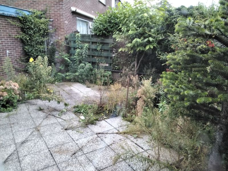 Ariana Nozemanstraat 27