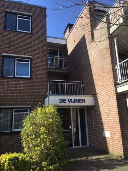 De Vijnen 6