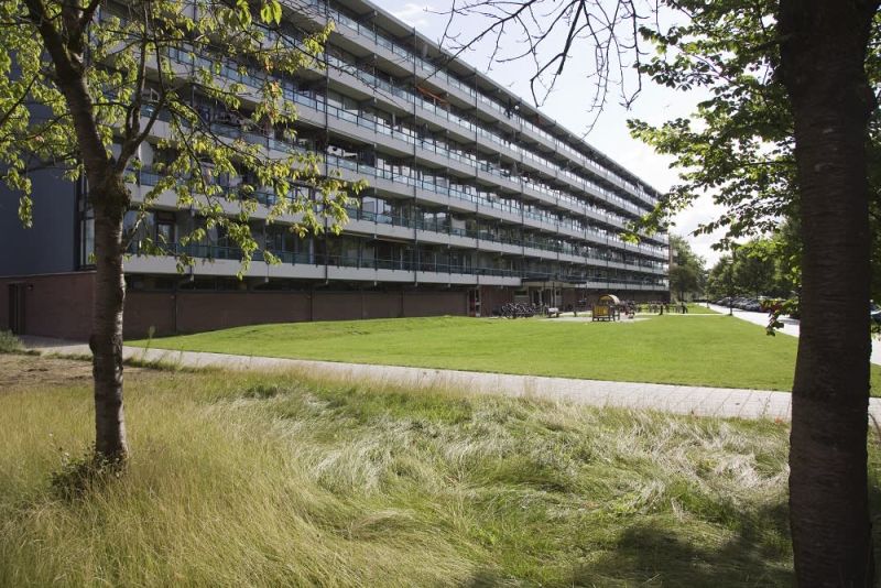 De Palmen Grift 533, 3901 NN Veenendaal, Nederland