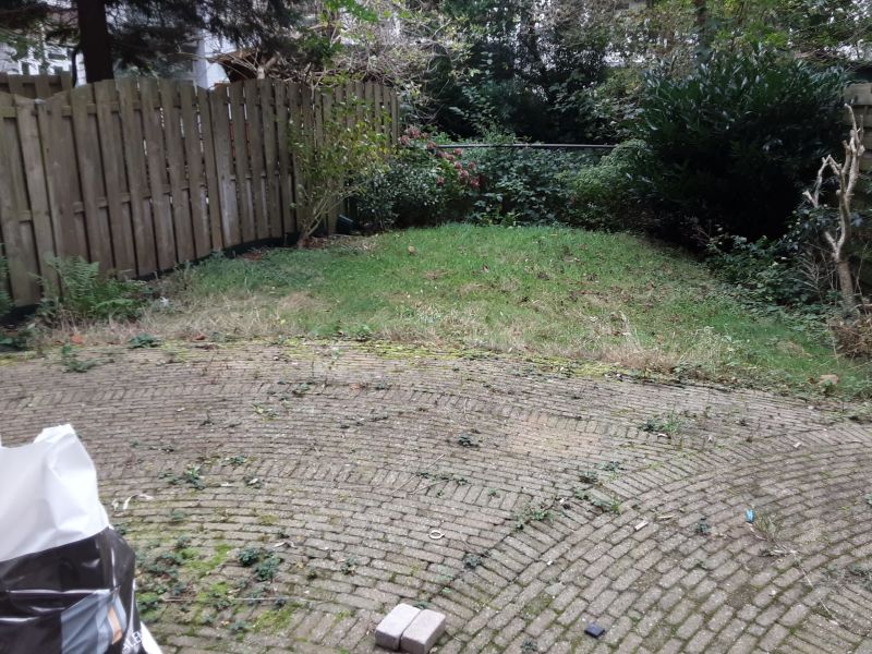 Witte de Withstraat 31