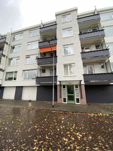 Albardaplantsoen 50, 3317 SB Dordrecht, Nederland