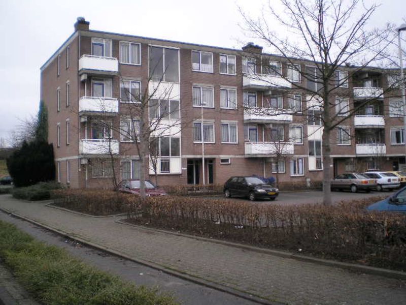 Ganzendaal 55