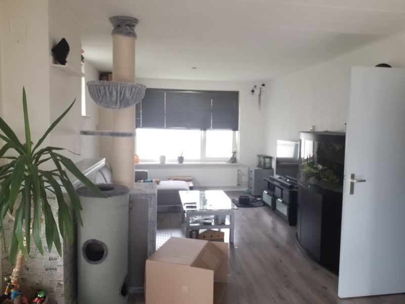 Jozef Israëlsstraat 17