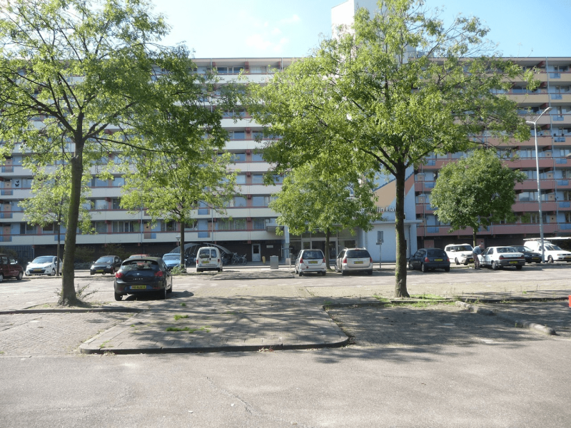 Nieuwe Maanderbuurtweg 530