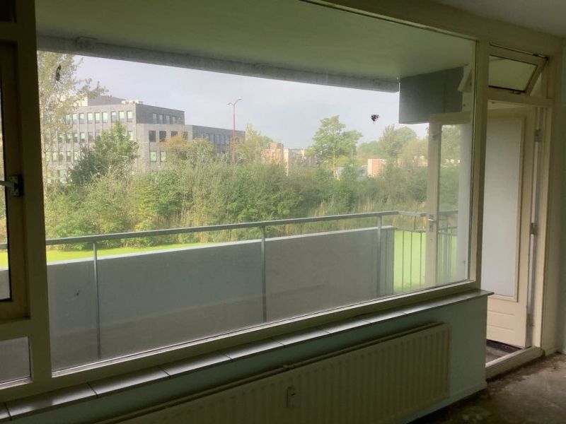 Lijsterbesstraat 286