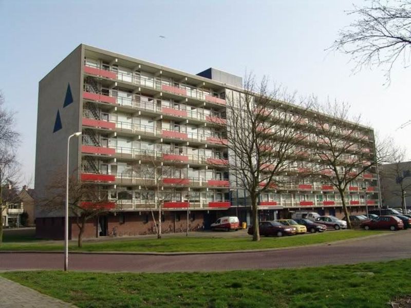 IJsvogelplein 217