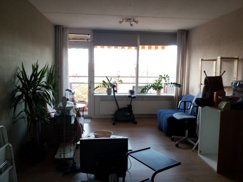 Ingelandenstraat 427